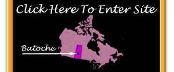 Click here to enter site