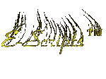 E Scripts